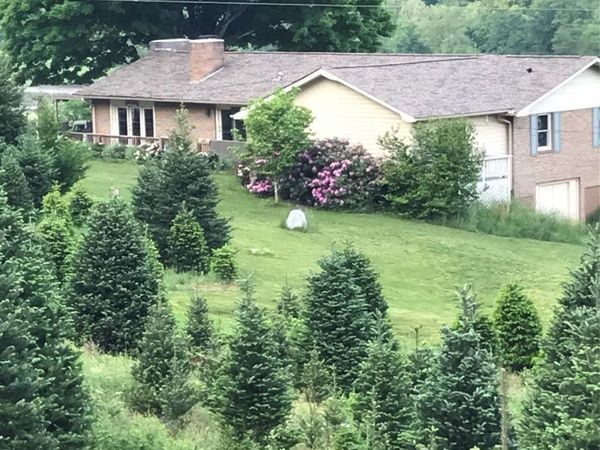 455 Avery Lane, Newland, NC 28657
