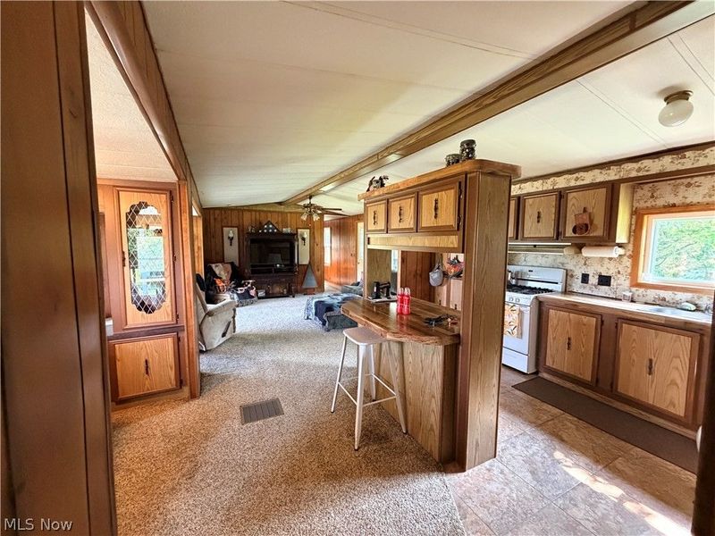 9248 Indian Lake Road, Byesville, OH 43723 Photo 17