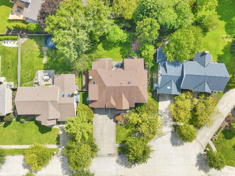 1117 Limberlost Court, Columbus, OH 43235 Photo 64
