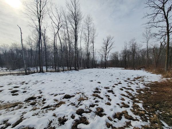 TBD XXXX Black Bear Drive SW, Motley, MN 56466