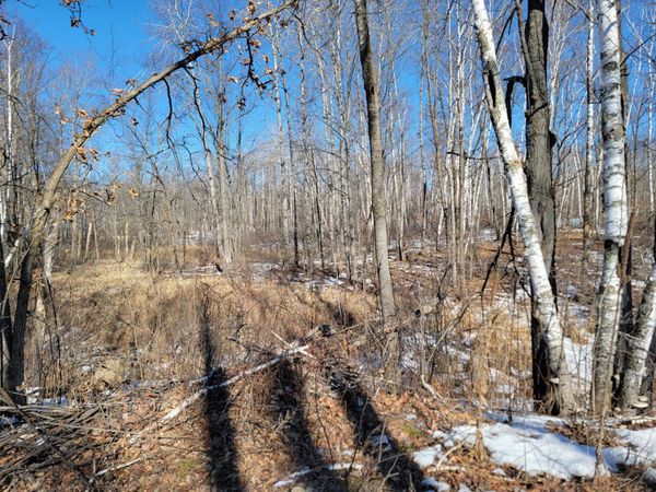 TBD XXXX Meadow Lake Road SW, Motley, MN 56466