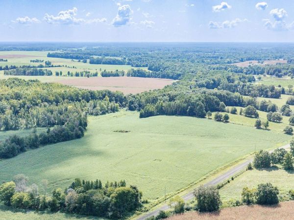 20 Acres County Road 134, Anderson, AL 35610
