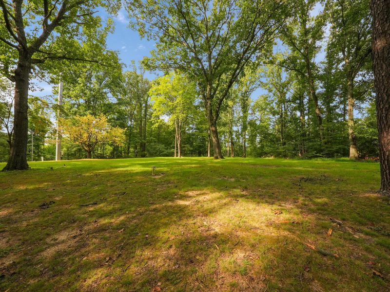 24601 Pole Ridge Road, South Bloomingville, OH 43152 Photo 35