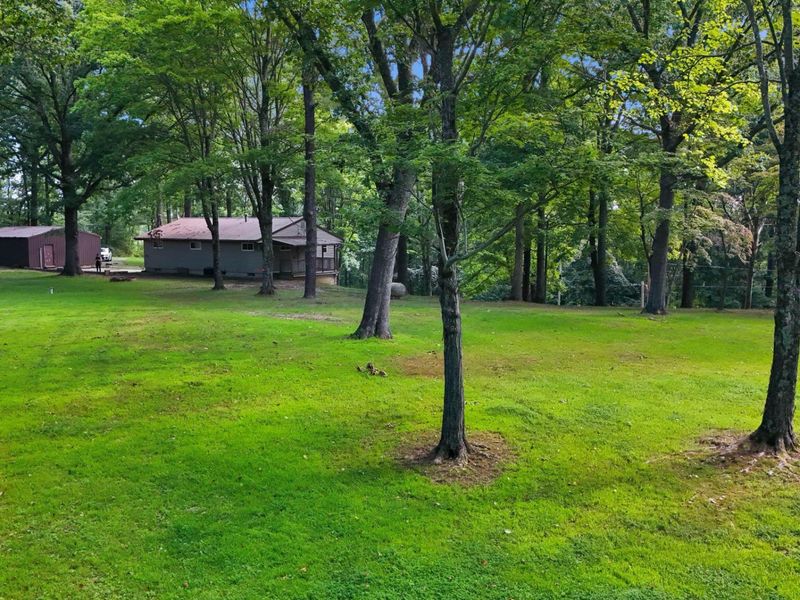 24601 Pole Ridge Road, South Bloomingville, OH 43152 Photo 36