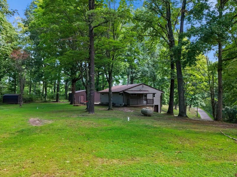 24601 Pole Ridge Road, South Bloomingville, OH 43152 Photo 39