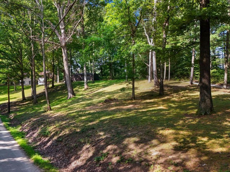 24601 Pole Ridge Road, South Bloomingville, OH 43152 Photo 41