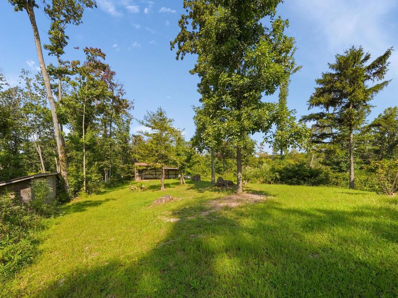 24657 Pole Ridge Road, South Bloomingville, OH 43152 Photo 29