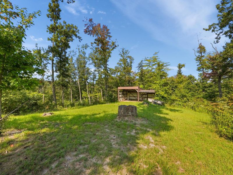 24657 Pole Ridge Road, South Bloomingville, OH 43152 Photo 30