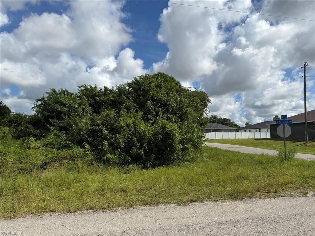2902 46th St Sw, Lehigh Acres, FL 33976 Photo