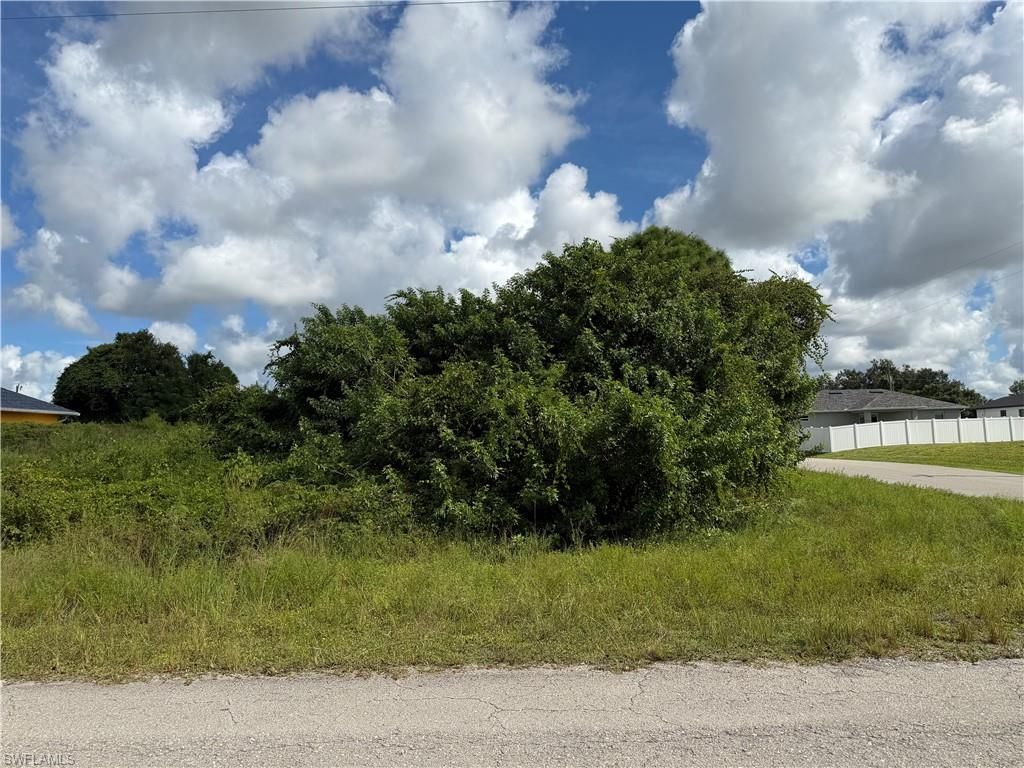 2902 46th St Sw, Lehigh Acres, FL 33976 Photo