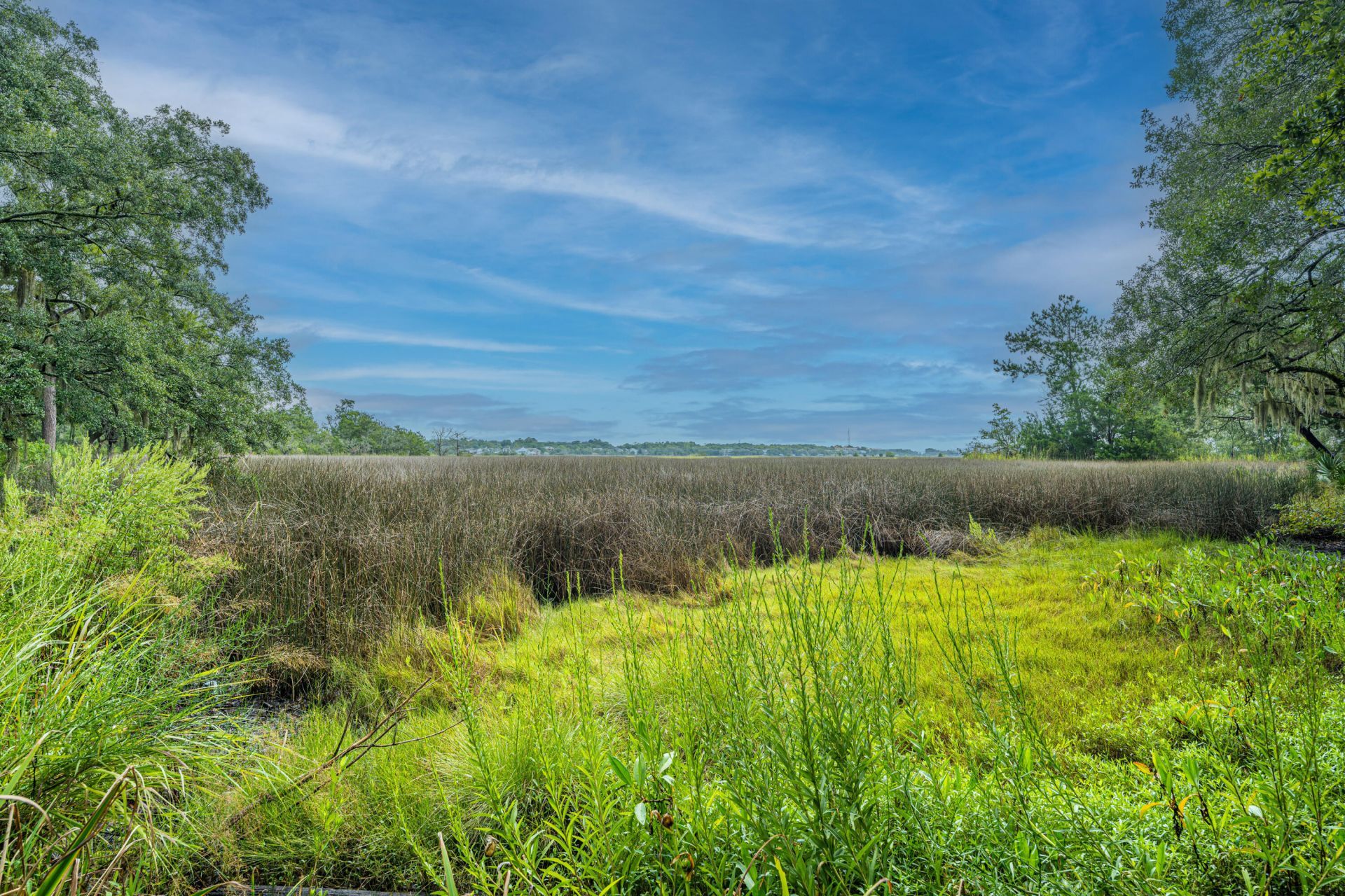 2357 Rice Pond Road Photo 57