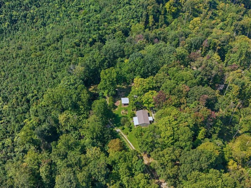 24661 Pole Ridge Road, South Bloomingville, OH 43152 Photo 2