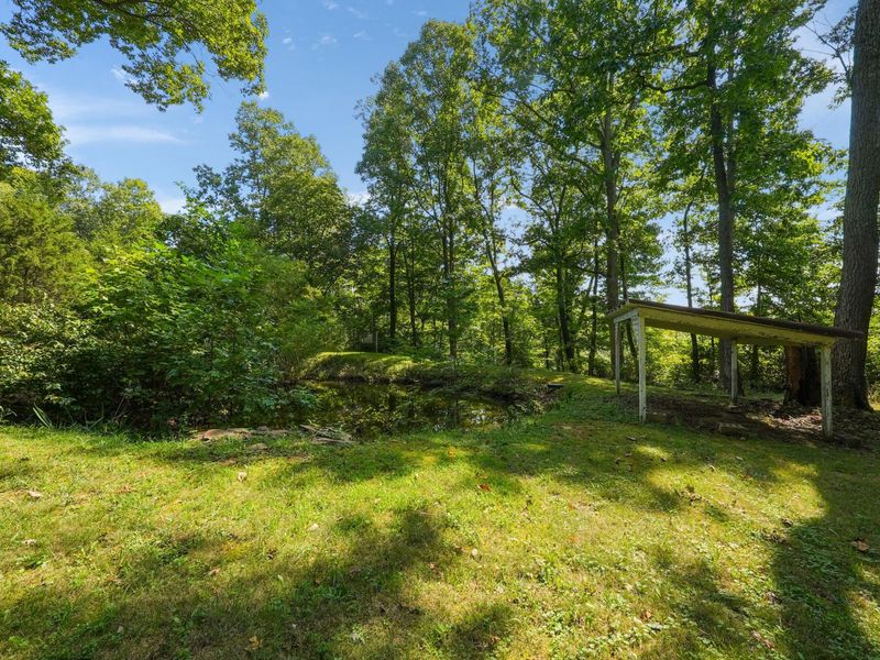 24661 Pole Ridge Road, South Bloomingville, OH 43152 Photo 27