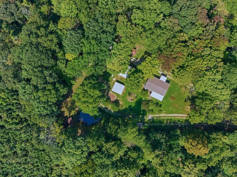 24661 Pole Ridge Road, South Bloomingville, OH 43152 Photo 30