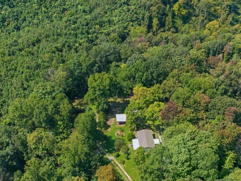 24661 Pole Ridge Road, South Bloomingville, OH 43152 Photo 32