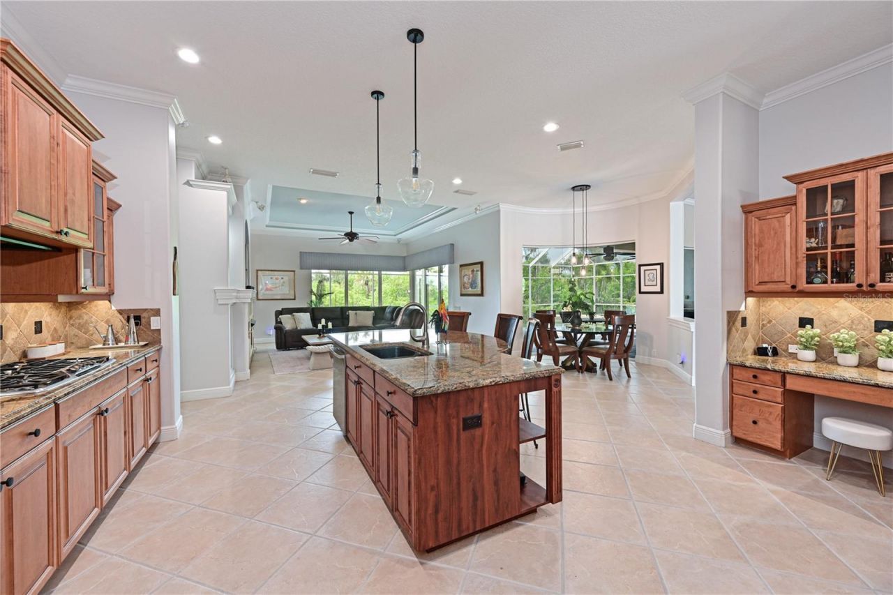 11515 Savannah Lakes Drive, Parrish, FL 34219 Photo