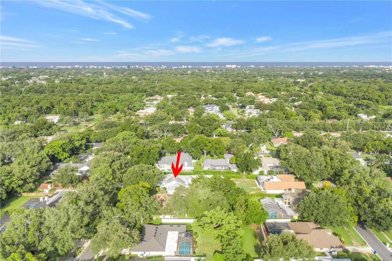 12383 Windtree Boulevard, Seminole, FL 33772 Photo