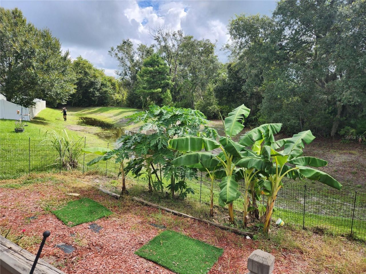 12722 Drakefield Drive, Spring Hill, FL 34610 Photo