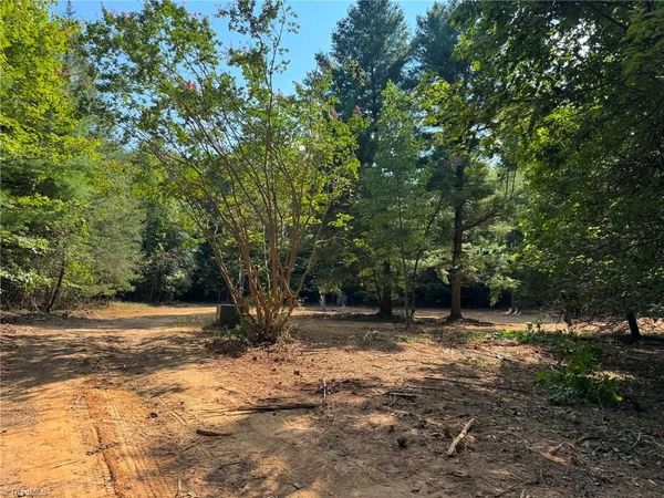1036 Antler Run Drive, Jonesville, NC 28642