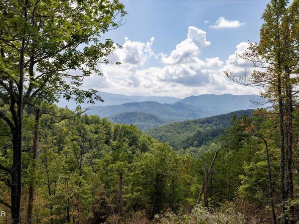 1080 Hembree Hollow Road, Unit x, Townsend, TN 37882