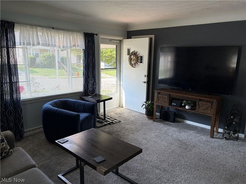 223 E Cassell Avenue, Barberton, OH 44203 Photo 15