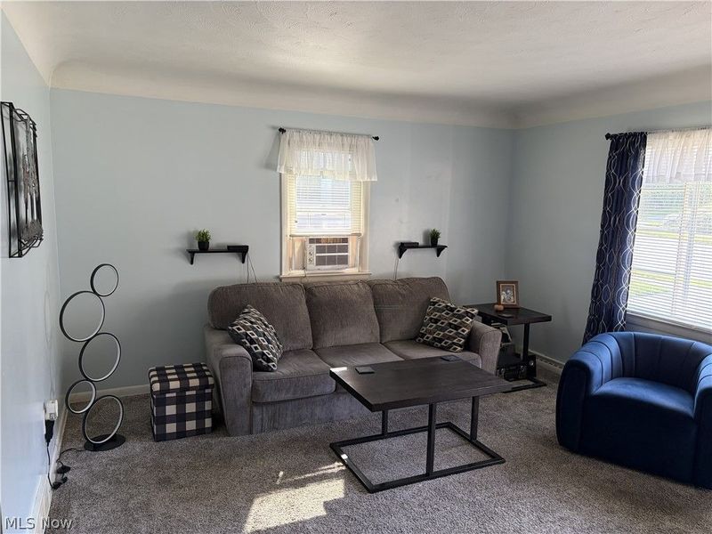 223 E Cassell Avenue, Barberton, OH 44203 Photo 16