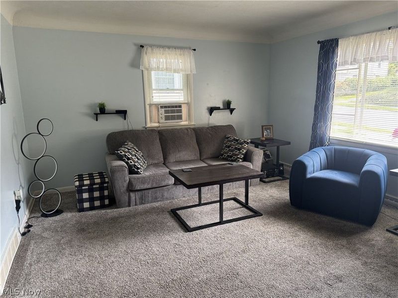 223 E Cassell Avenue, Barberton, OH 44203 Photo 17