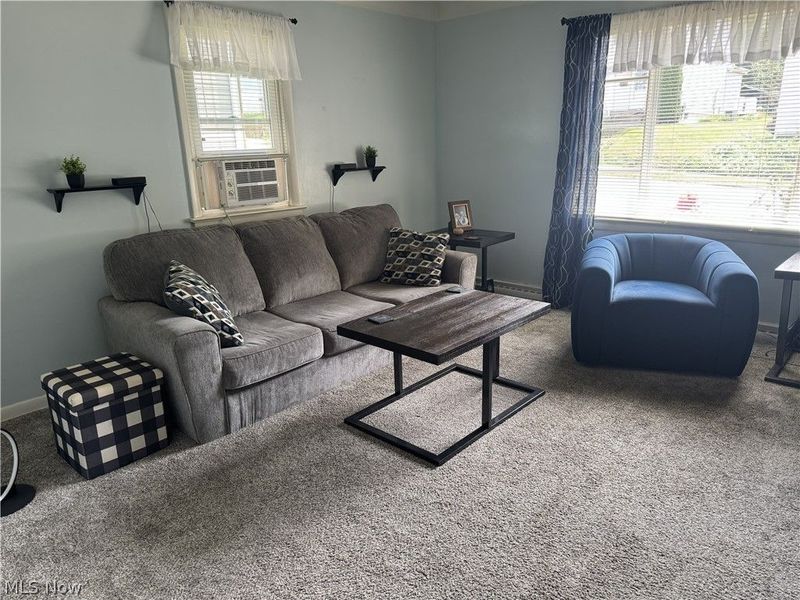 223 E Cassell Avenue, Barberton, OH 44203 Photo 18