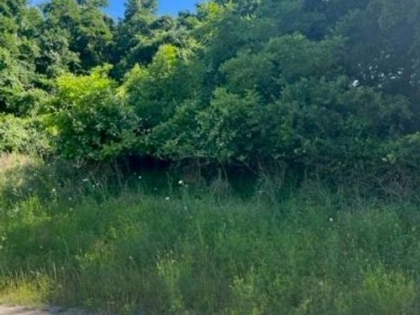 366 Riverside DR , Bastrop, TX 78602