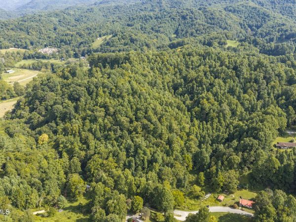 0 Bear Cage Road, Roan Mountain, TN 37687