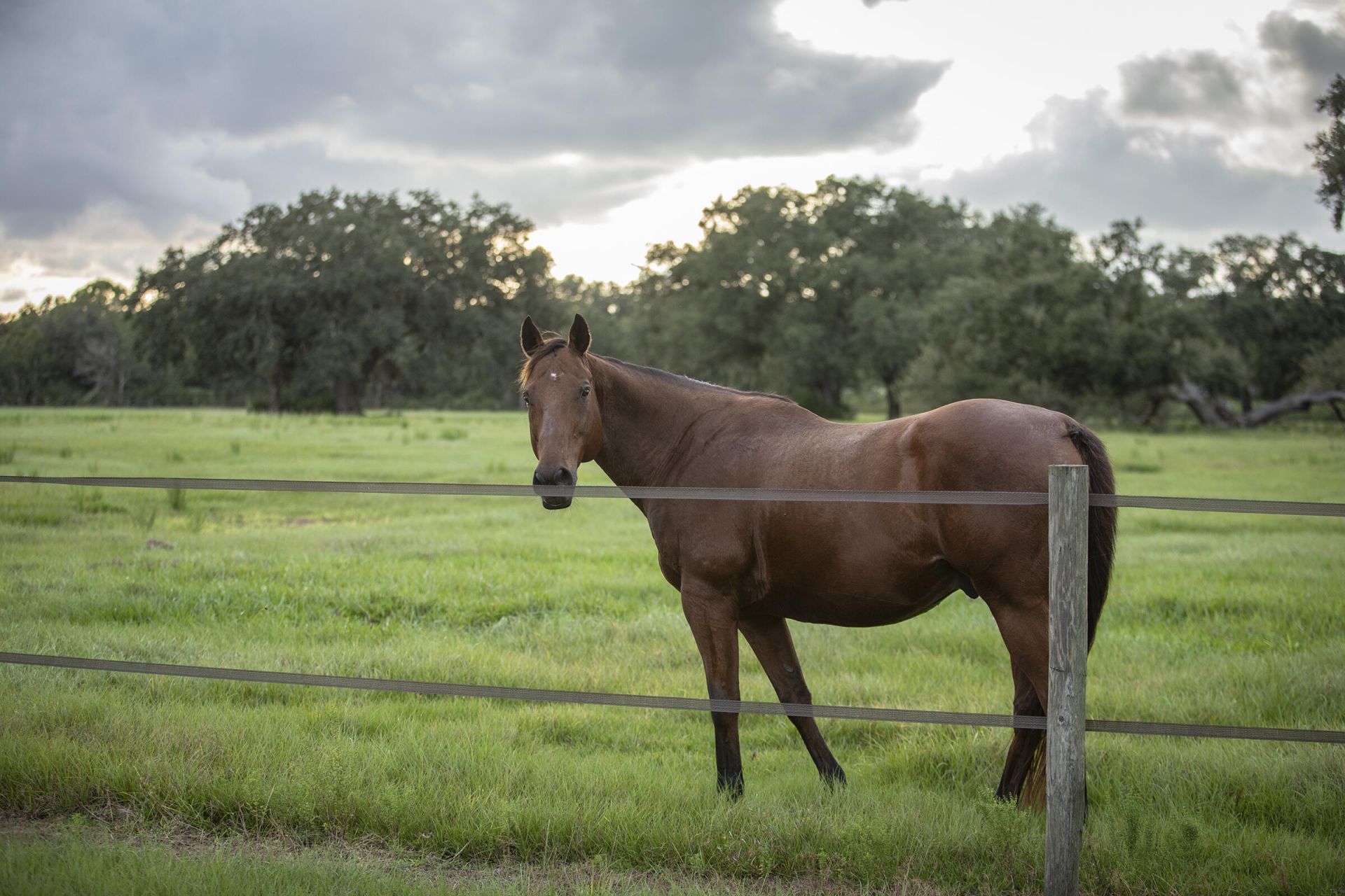 32801 Us Highway 441 Highway N, Unit 36, Okeechobee, FL 34972 Photo