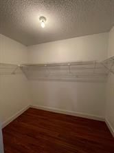 1709 Whitehall Drive, Unit 205, Davie, FL 33324 Photo