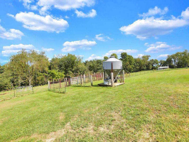 14300 Mount Perry Road, Mount Perry, OH 43760 Photo 66