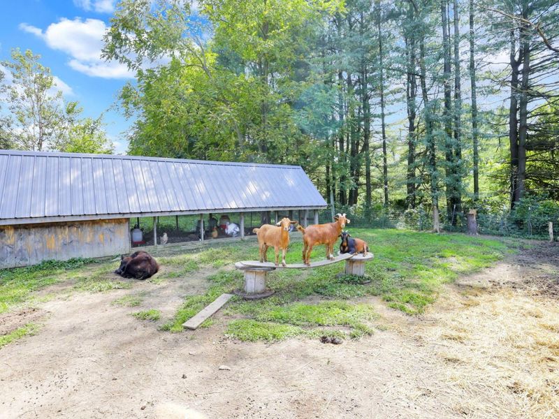 14300 Mount Perry Road, Mount Perry, OH 43760 Photo 72