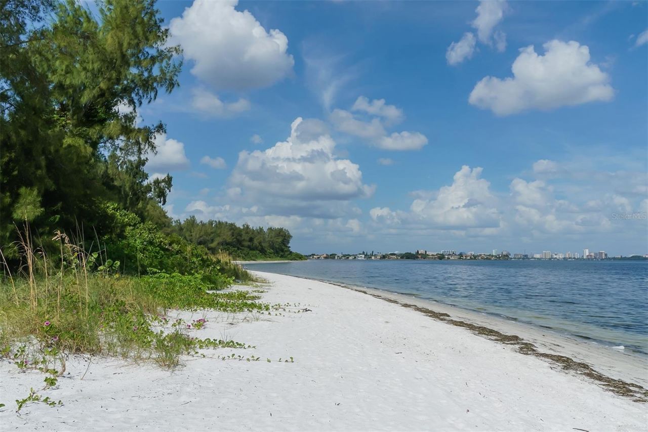 1100 Benjamin Franklin Drive, Unit 204, Sarasota, FL 34236 Photo
