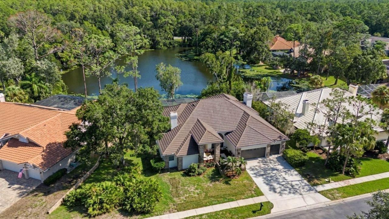 35 Greenhaven Trail, Oldsmar, FL 34677 Photo