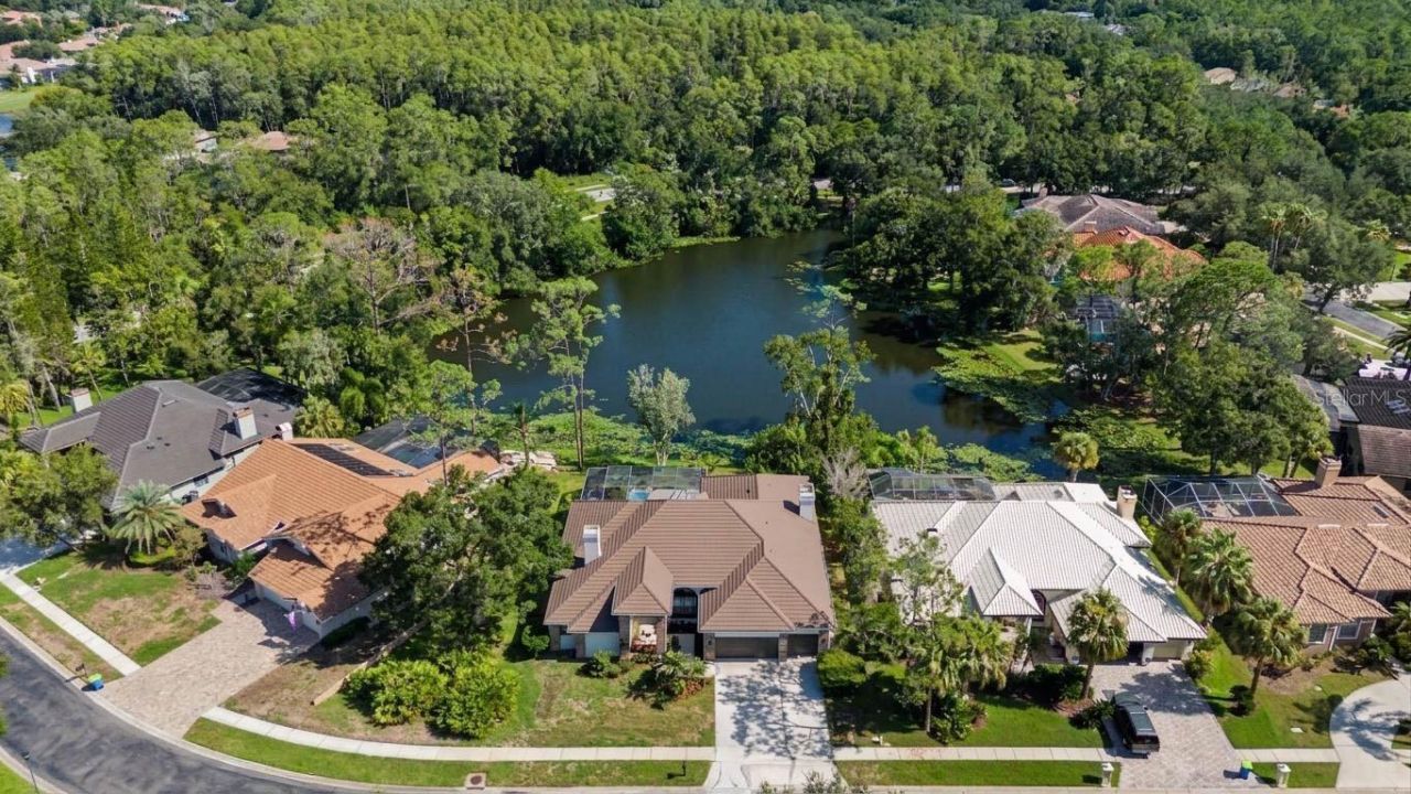 35 Greenhaven Trail, Oldsmar, FL 34677 Photo
