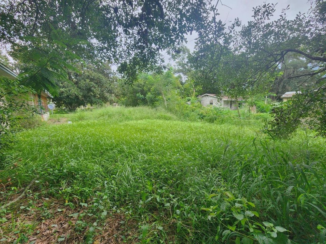 2407 Summer Hollow Drive, Auburndale, FL 33823 Photo