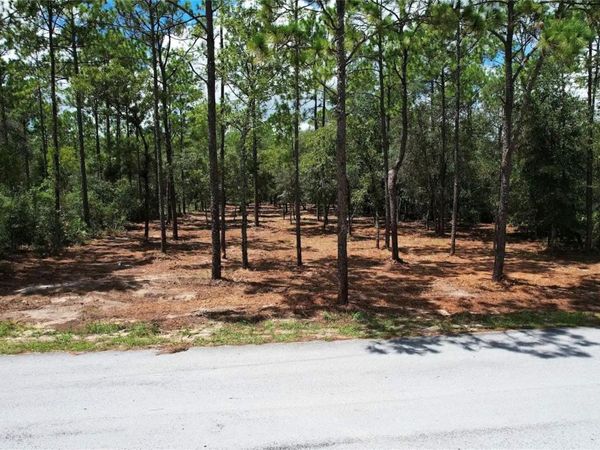 SW 183RD TERRACE , DUNNELLON, FL 34432
