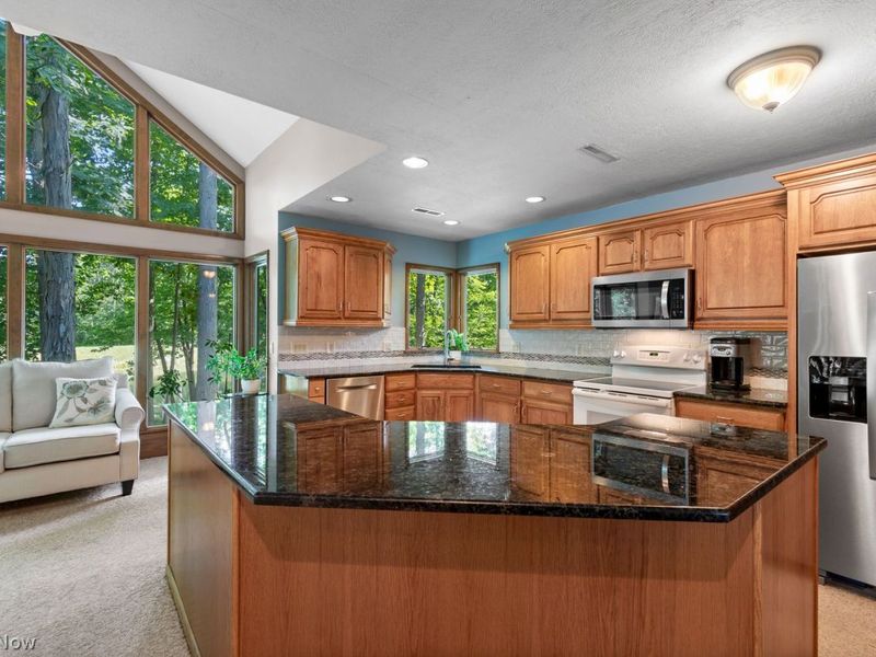 870 Beechwood Drive, Medina, OH 44256 Photo 13
