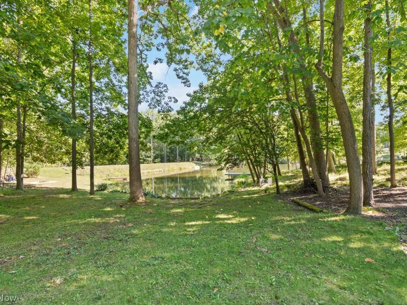 870 Beechwood Drive, Medina, OH 44256 Photo 37