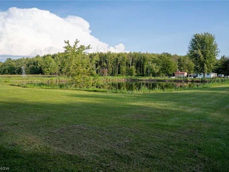 2920 State Route 193 N, Jefferson, OH 44047 Photo 23