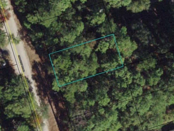 00-00-035-008-07417-000 CHOCTAW ROAD , CRAWFORDVILLE, FL 32327