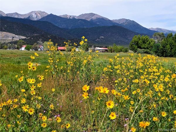 185 County Road 6 , Coaldale, CO 81222
