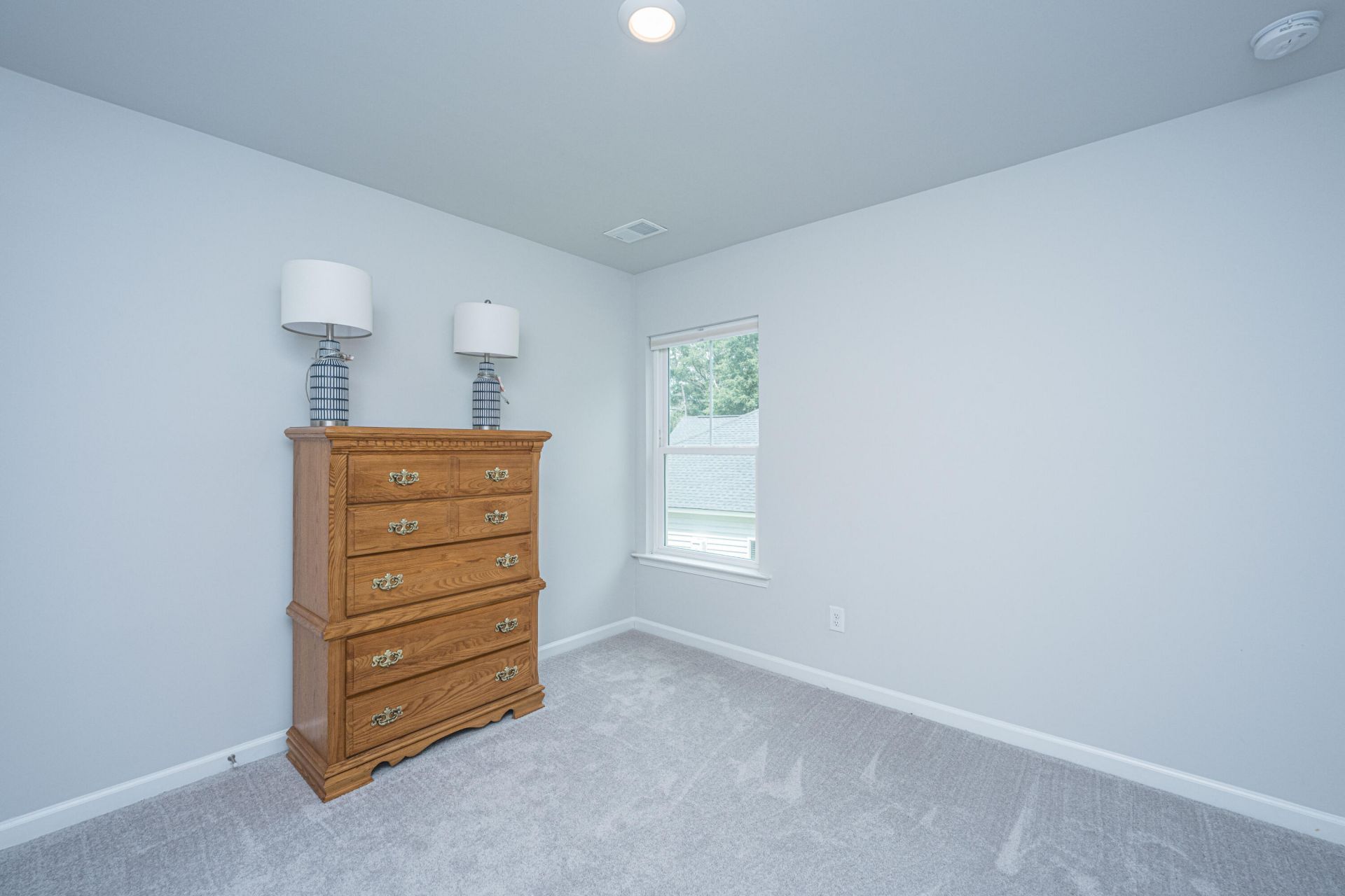 7074 Pumpkinseed Drive Photo 48
