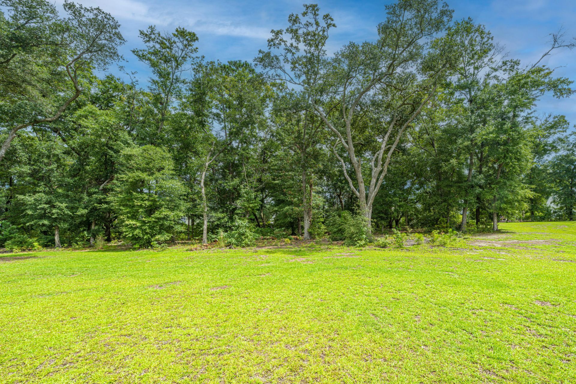 7074 Pumpkinseed Drive Photo 50