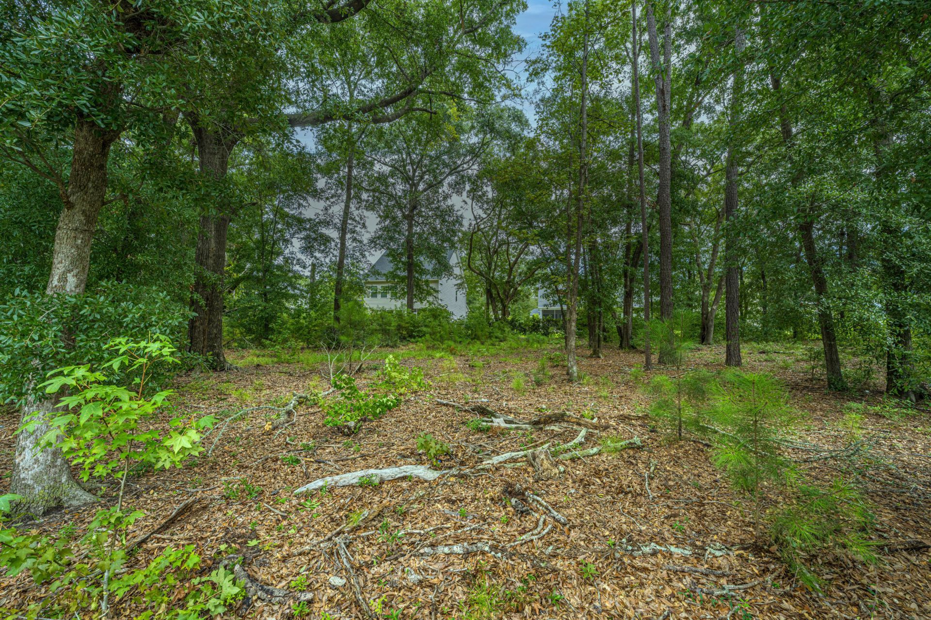 7074 Pumpkinseed Drive Photo 52