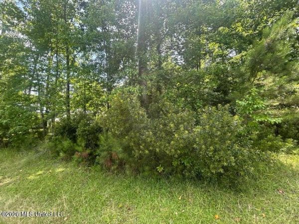 00 Pine Tree Road, Pachuta, MS 39347