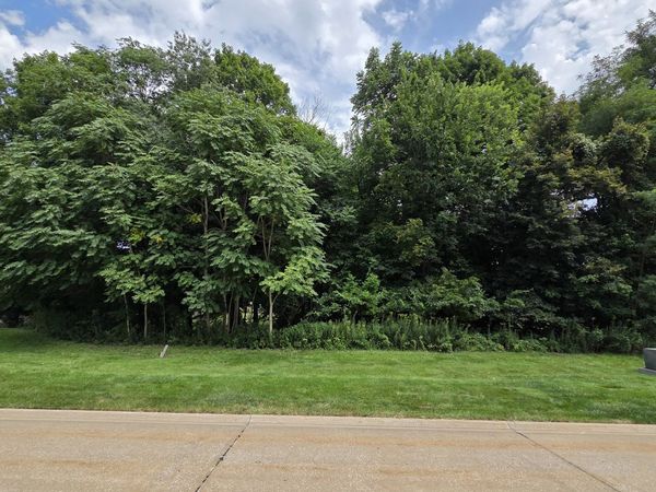 31 Chippiannock Place , Rock Island, IL 61201