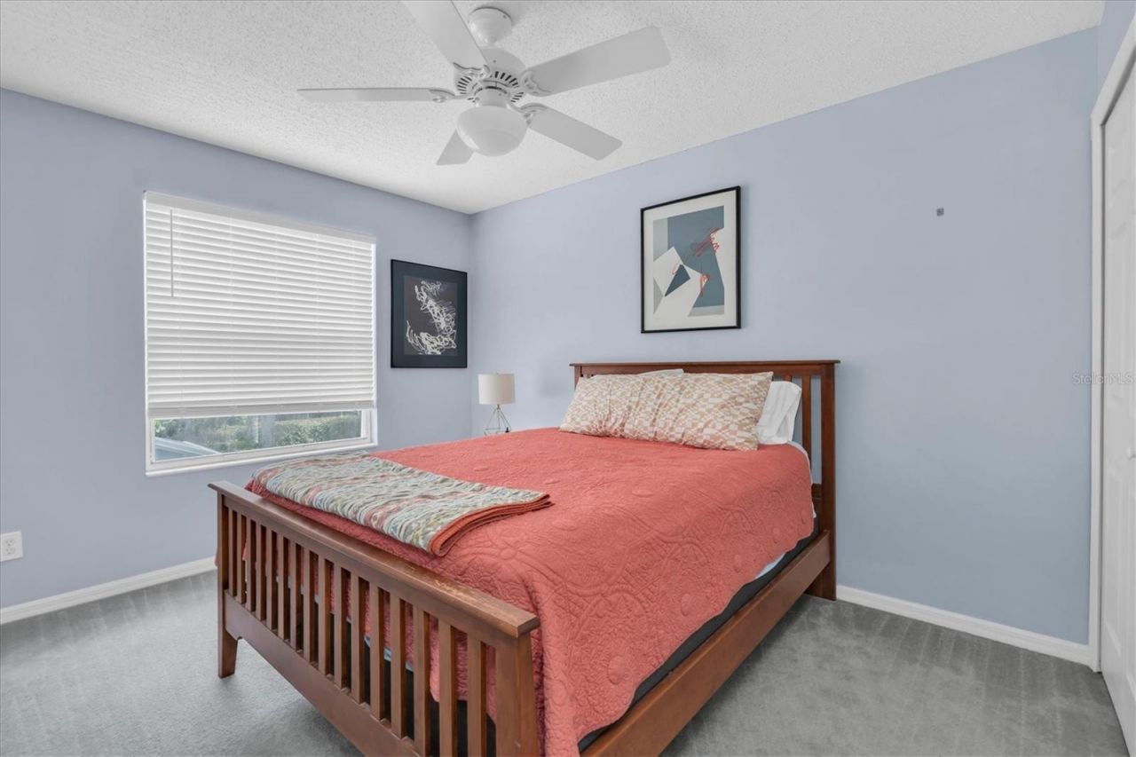 1746 Roseroot Court , Trinity, FL 34655 Photo
